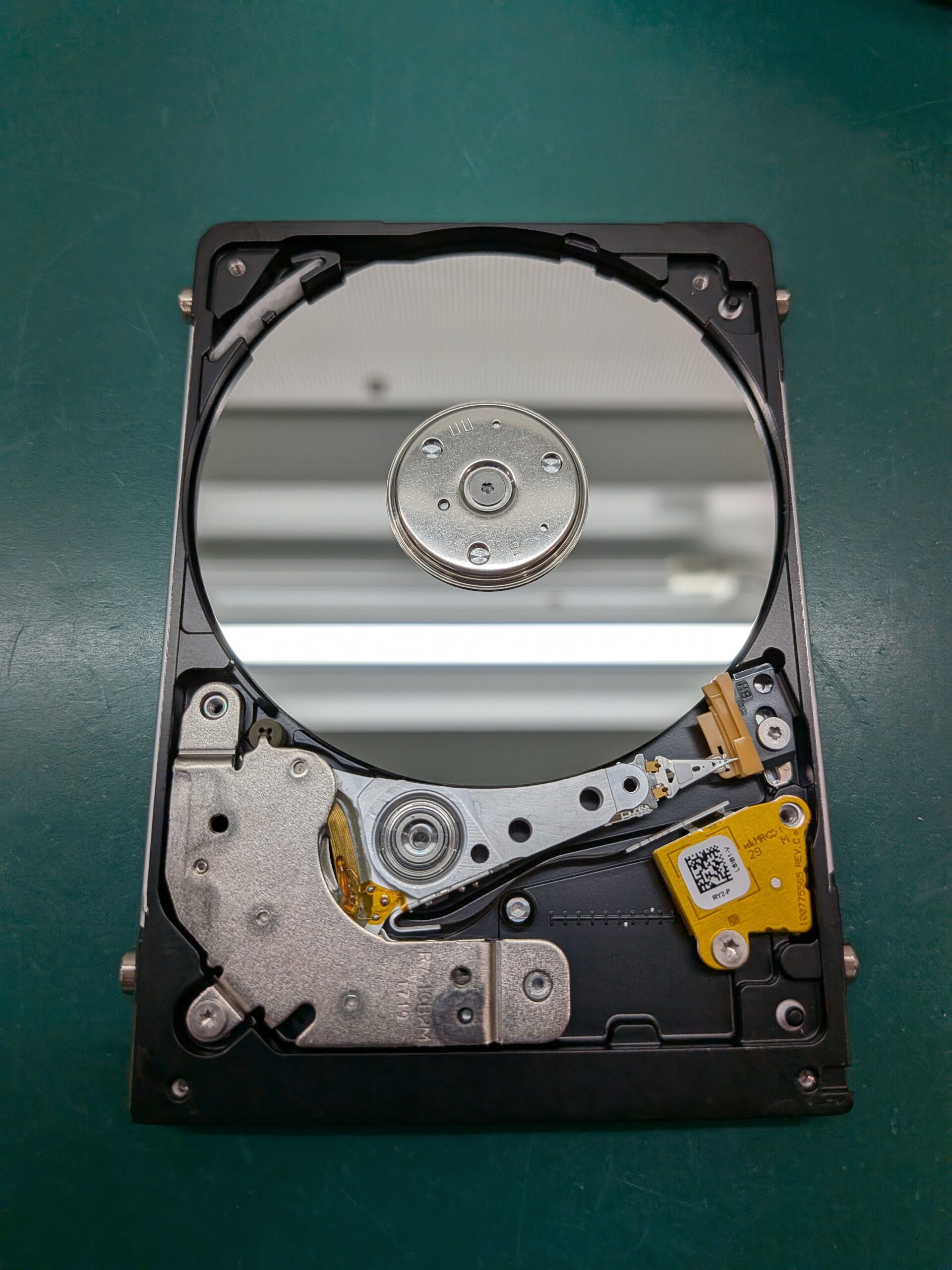 プラッター表面を上から確認している様子